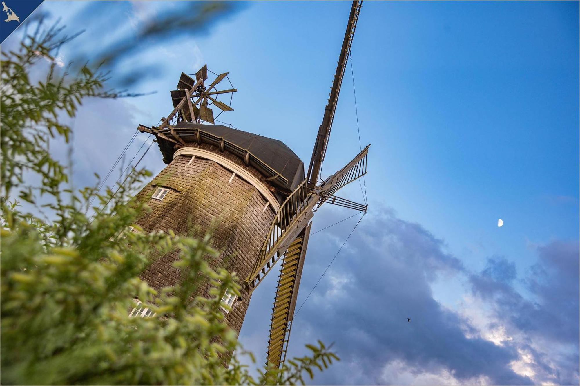 Studio Heringsdorf  Exteriér fotografie